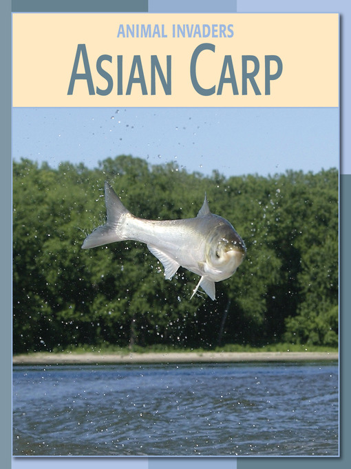 Title details for Asian Carp by Barbara A. Somervill - Available